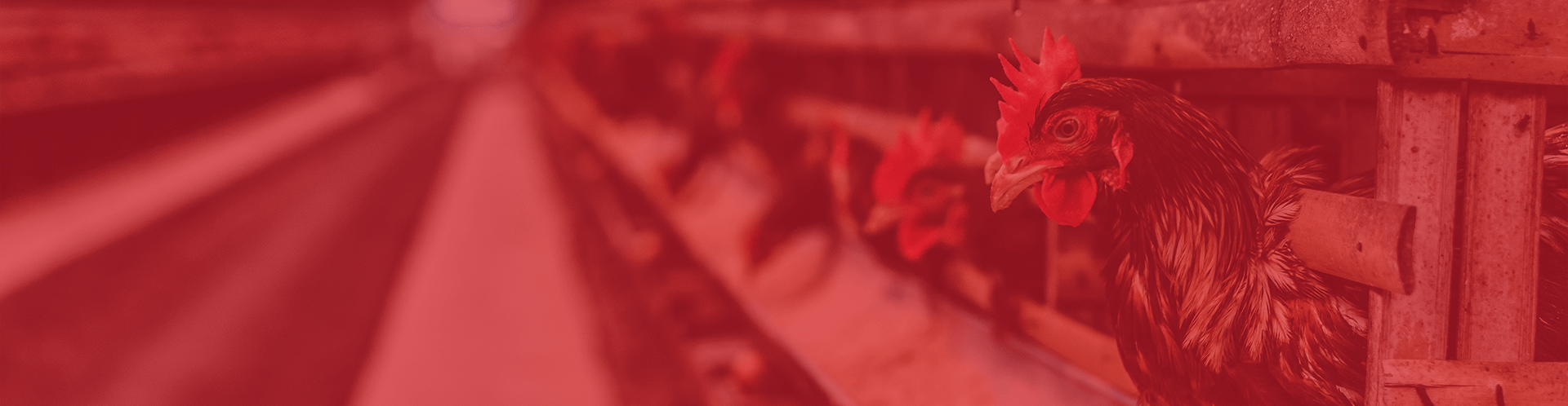 https://www.3han.com.tr/wp-content/uploads/2021/02/302.png